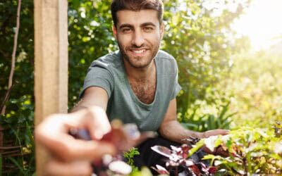 Természetes potencianövelők – valóban működnek?